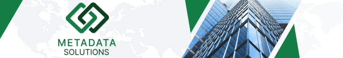 Cover image for Metadata Solutions