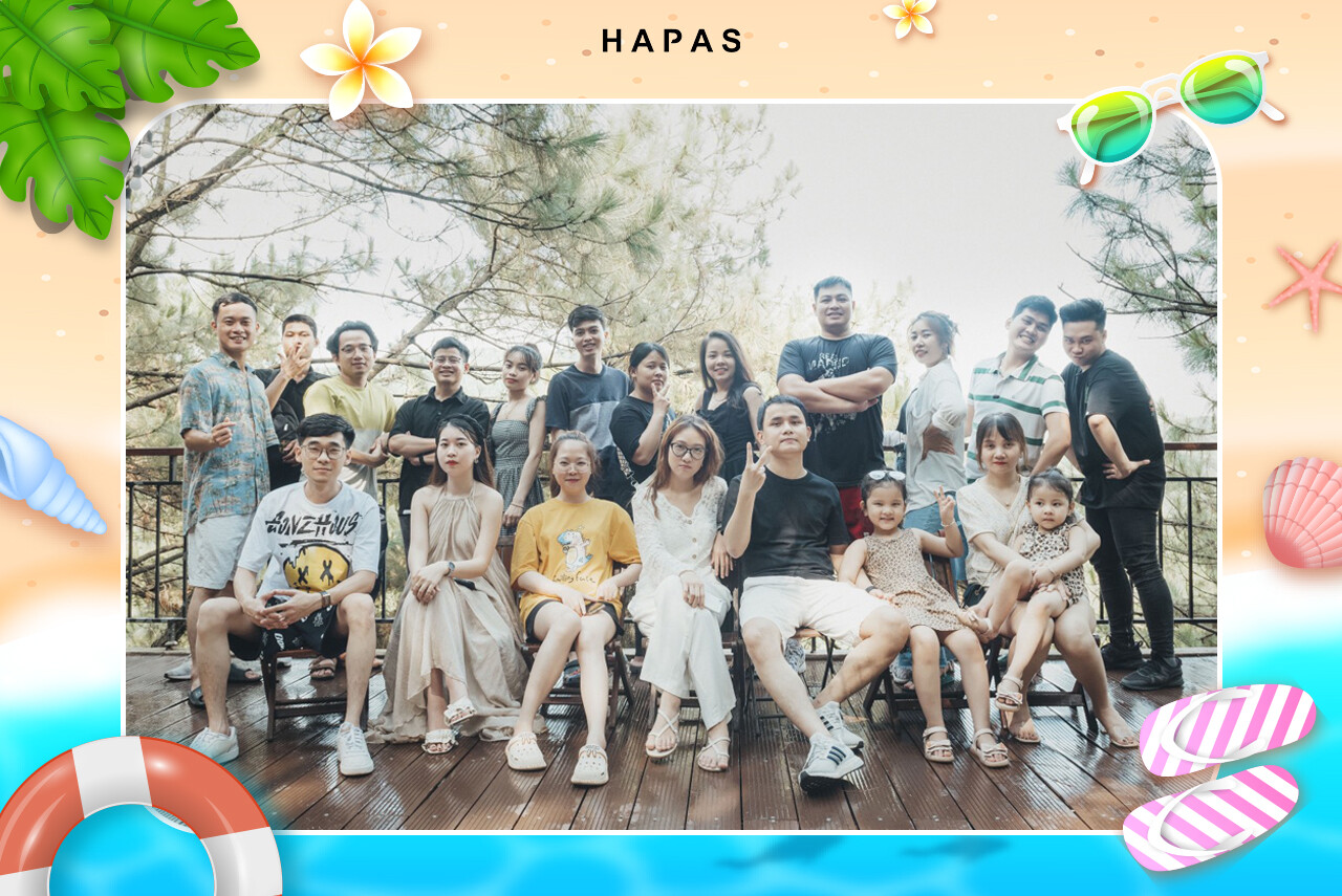 Cover image for HAPAS VIỆT NAM