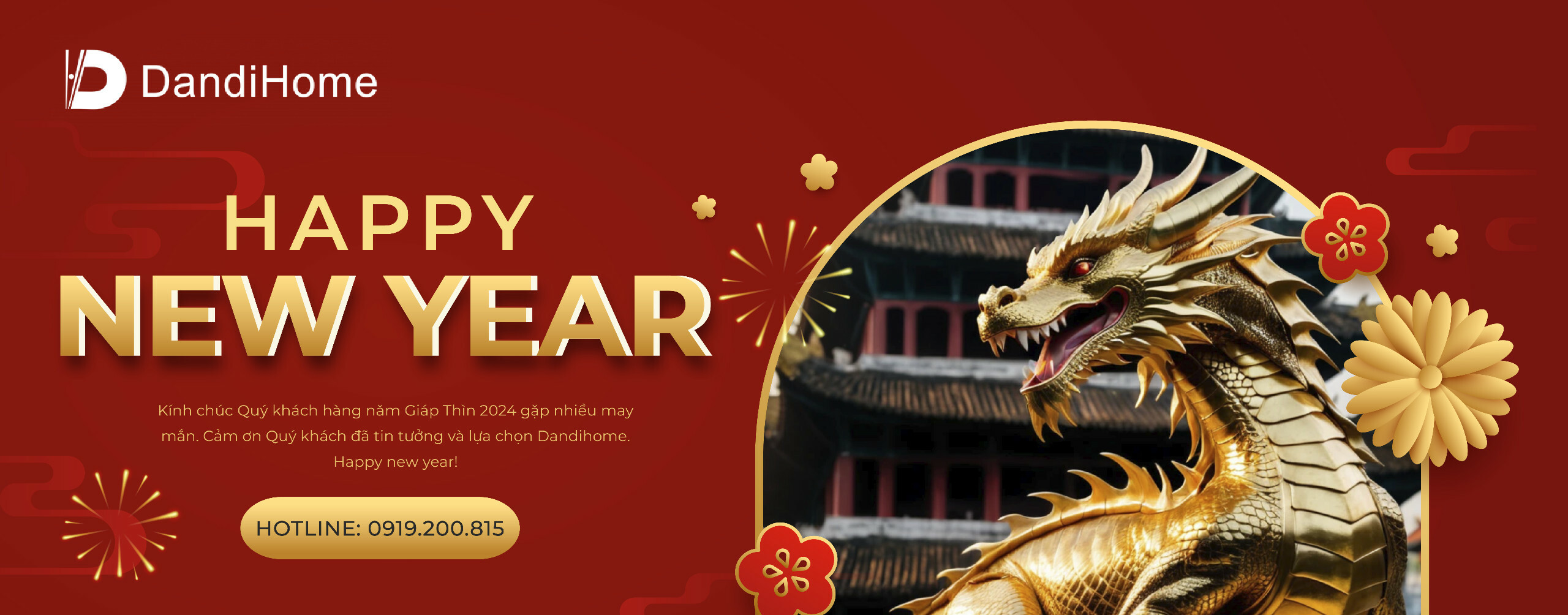 Cover image for DANDIHOME VIỆT NAM