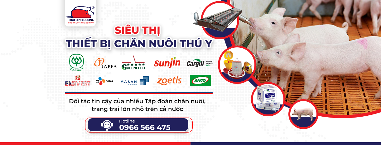 Cover image for DV SX THÁI BÌNH DƯƠNG