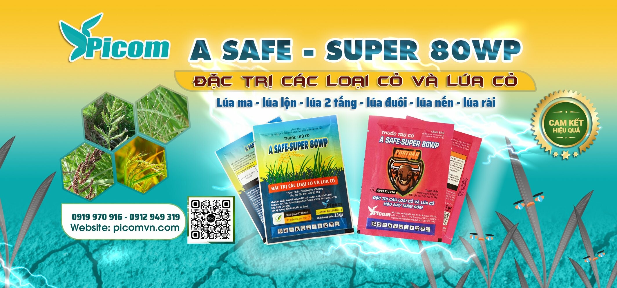 Cover image for Picom Việt Nam