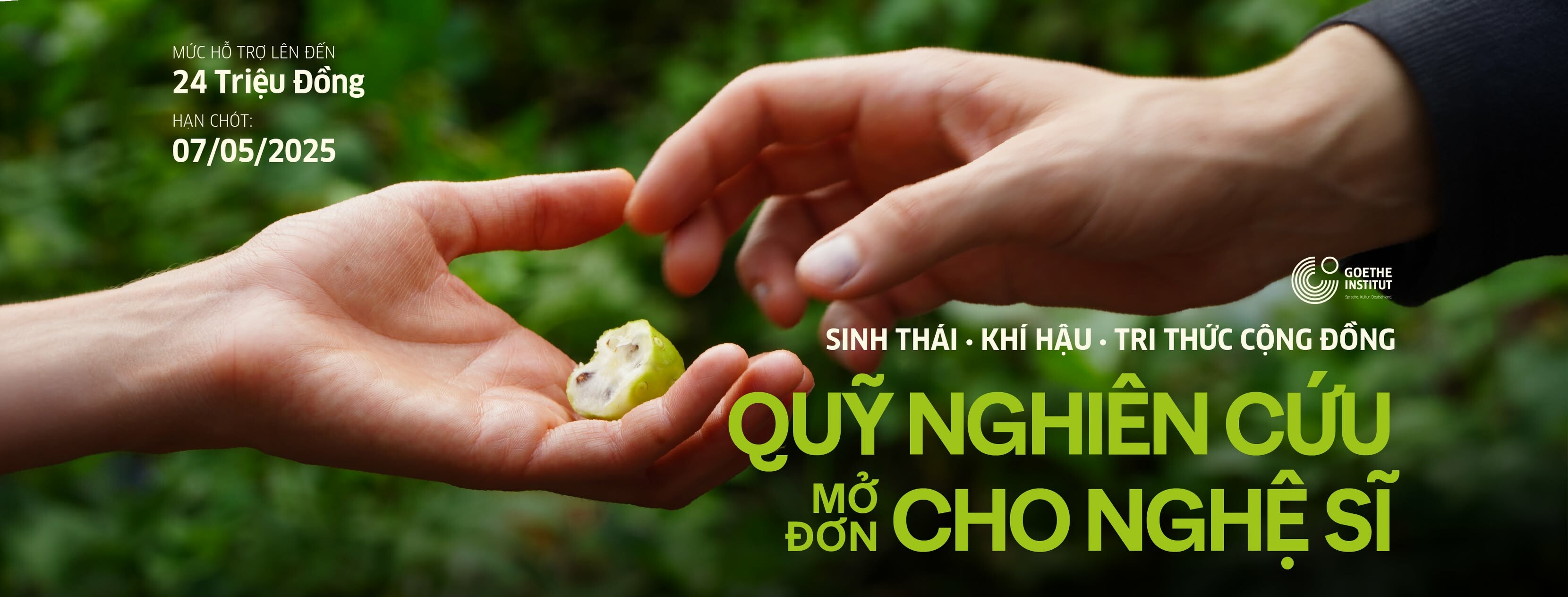 Cover image for VIỆN GOETHE