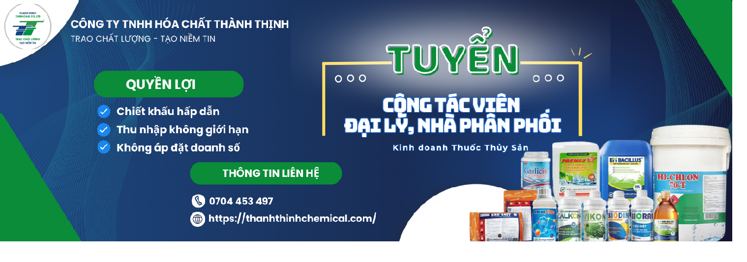 Cover image for HÓA CHẤT THÀNH THỊNH