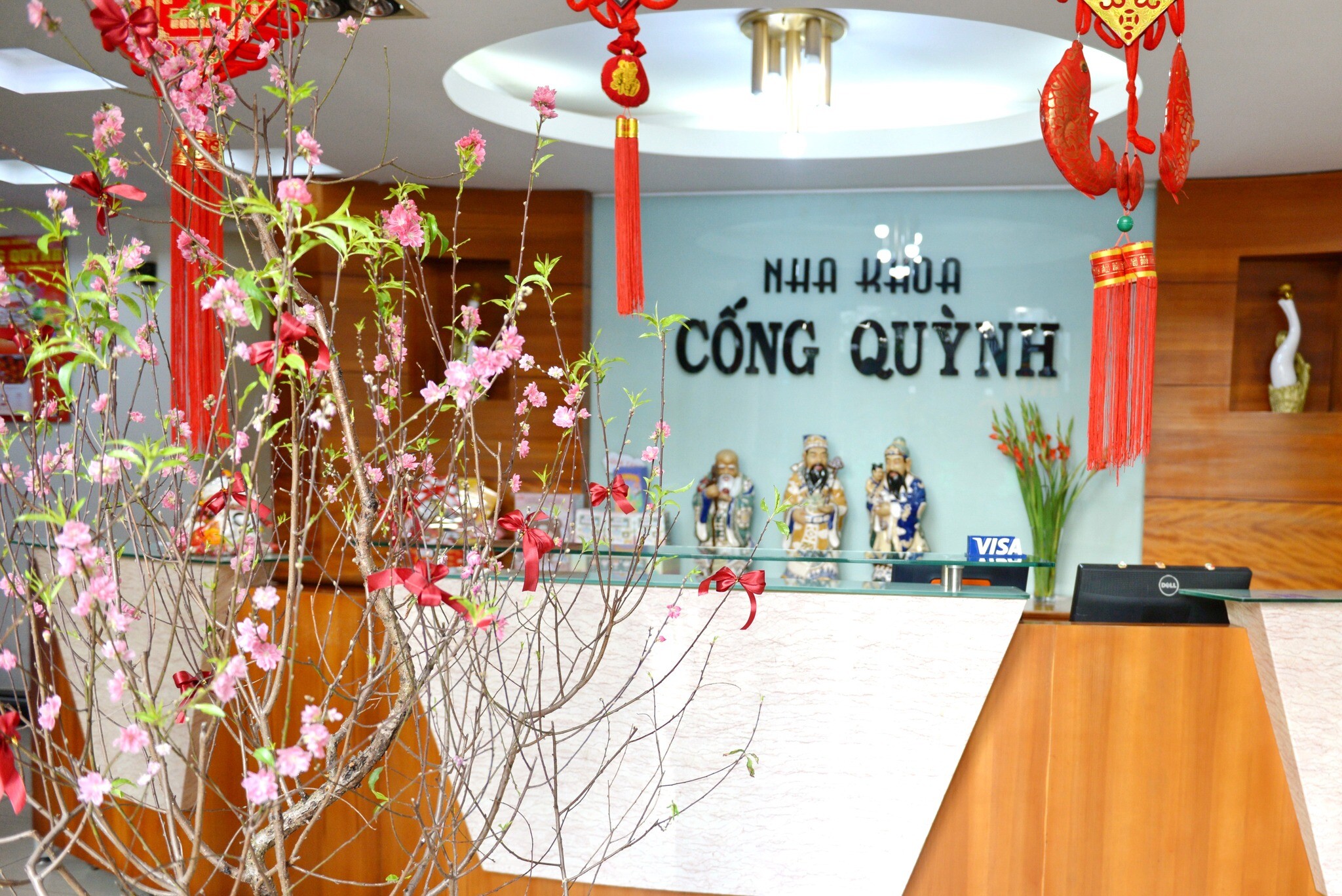 Cover image for Nha Khoa Cống Quỳnh