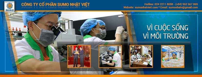 Cover image for SuMo Nhật Việt