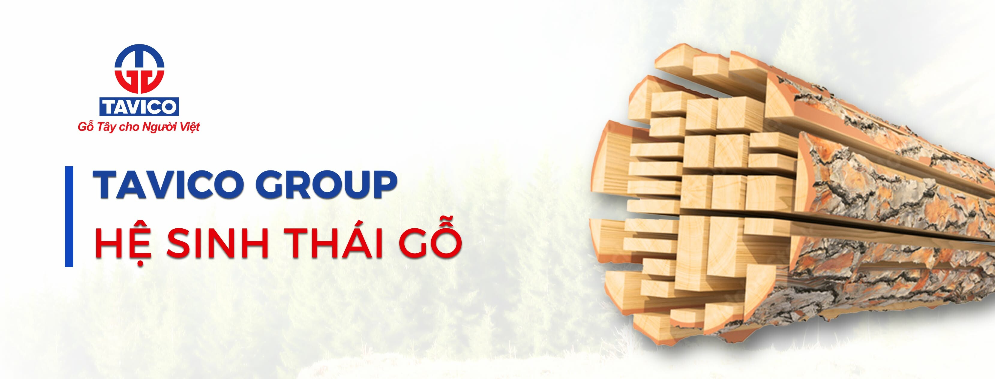 Cover image for Tân Vĩnh Cửu - Tavico