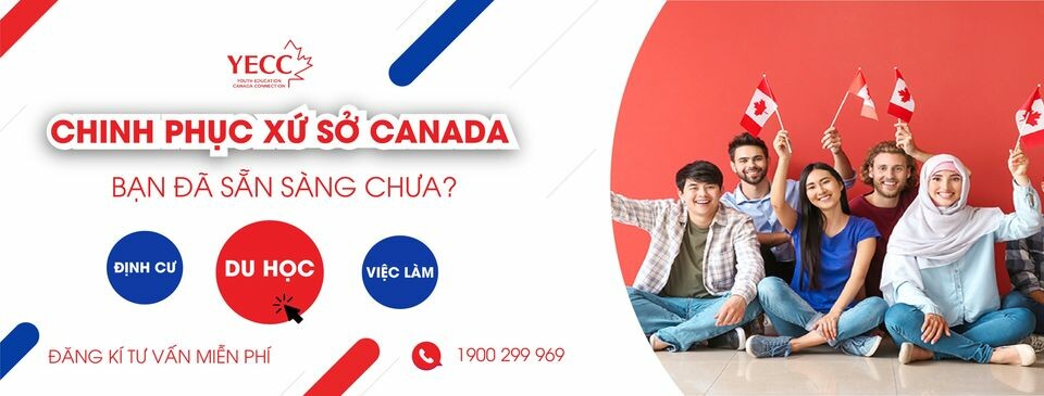 Cover image for Công Ty TNHH Kết Nối Giáo Dục Trẻ Canada