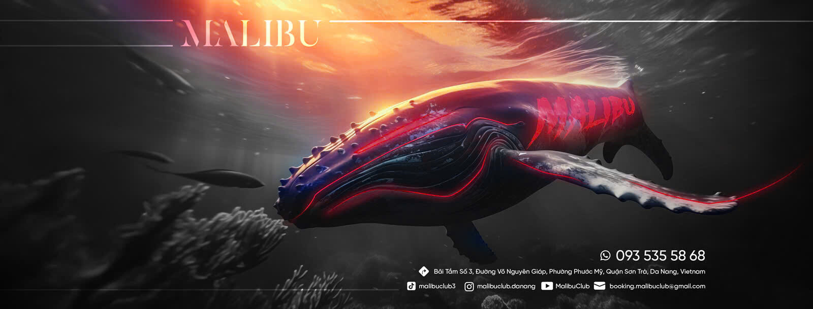 Cover image for Malibu