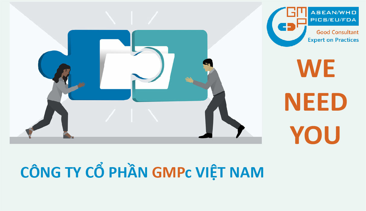 Cover image for GMPc Việt Nam