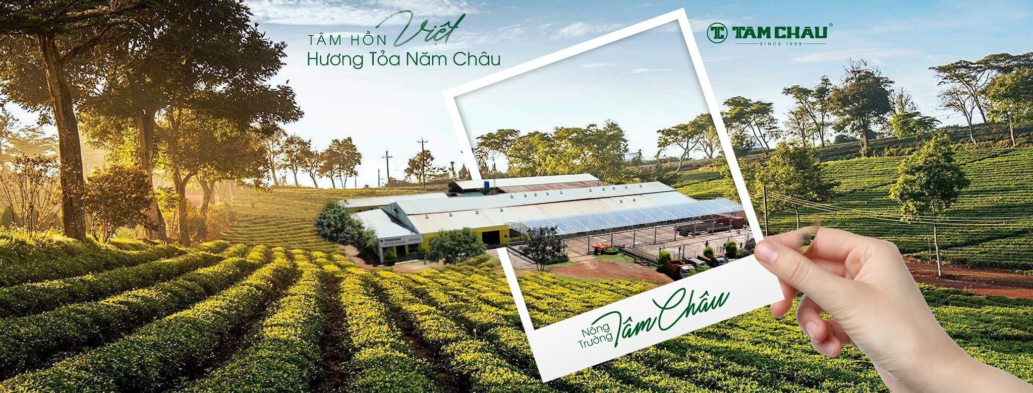 Cover image for Tâm Châu Miền Bắc