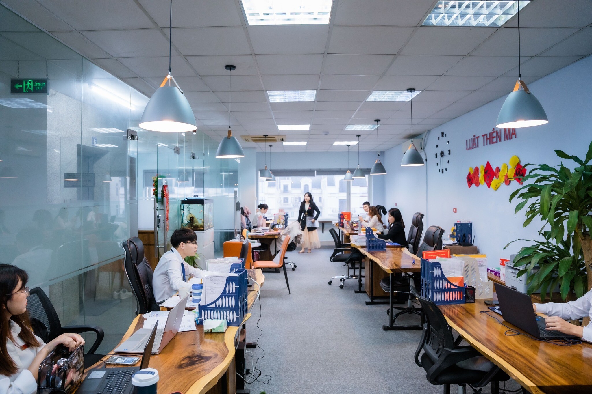 Cover image for Luật Thiên Mã