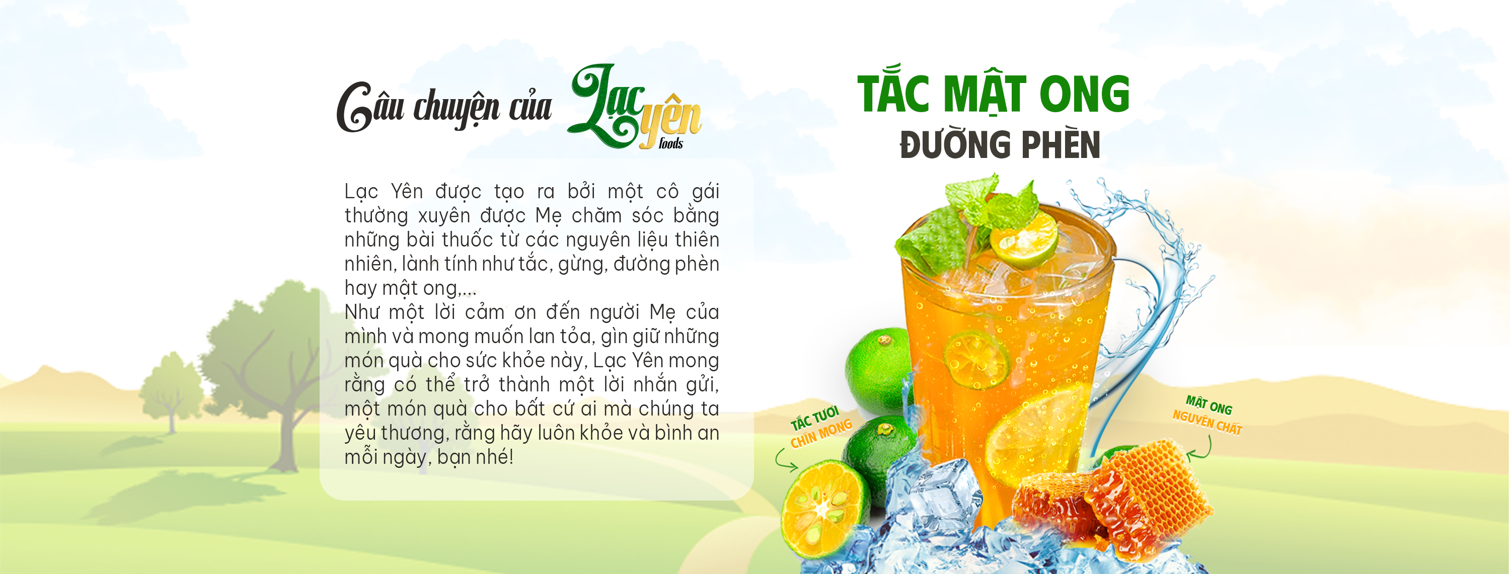 Cover image for LẠC YÊN GROUP