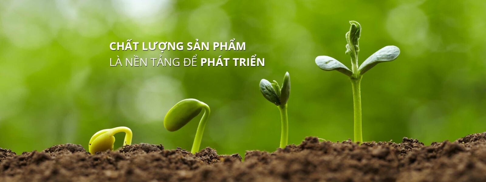 Cover image for Công ty cổ phần dược phẩm Safatis