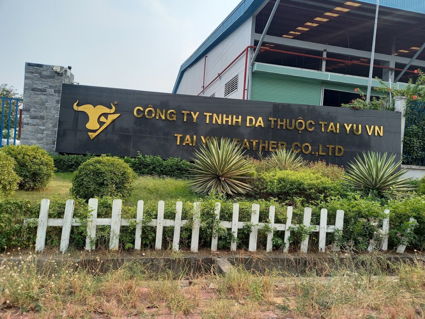 Cover image for TAI YU