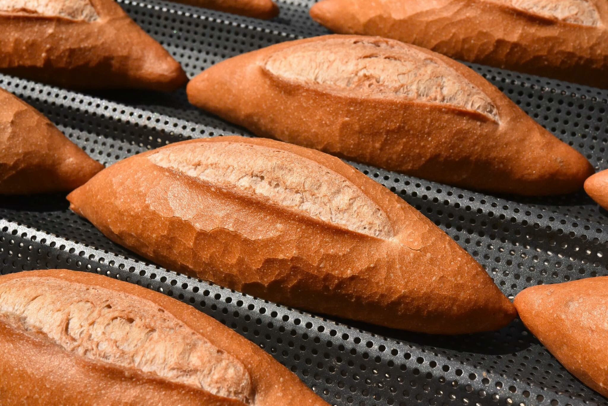 Cover image for O PLANT-BASED FOOD