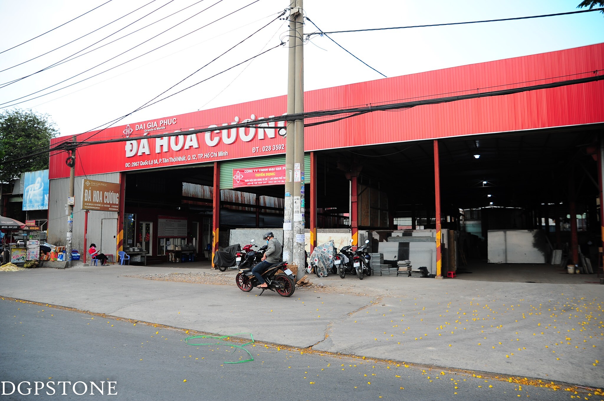 Cover image for Đại Gia Phúc