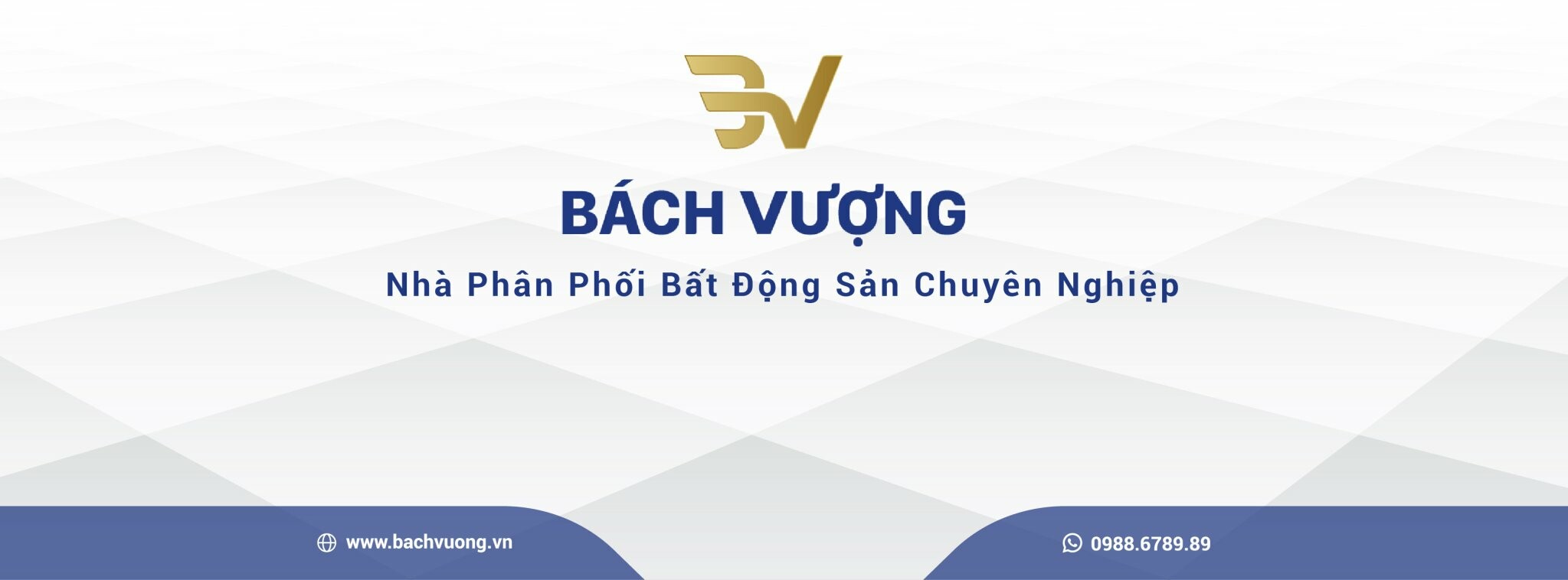 Cover image for Tập Đoàn Đầu Tư Bách Vượng