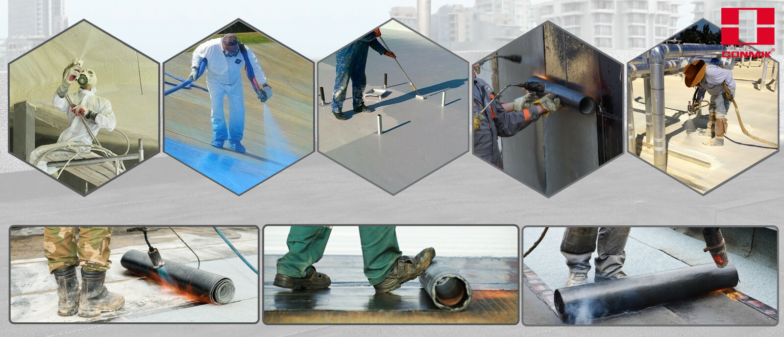 Cover image for Conmik Việt Nam