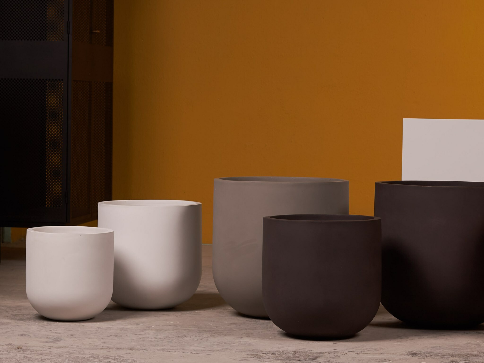 Cover image for Tau Việt Nam