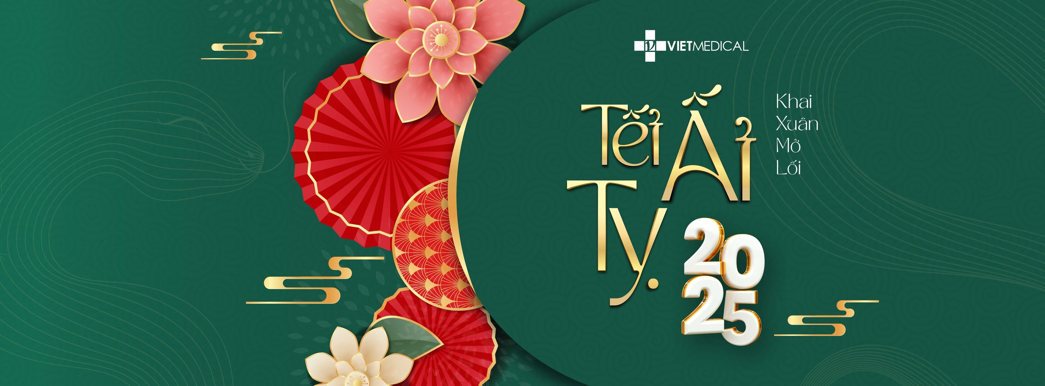 Cover image for VIETMEDIC