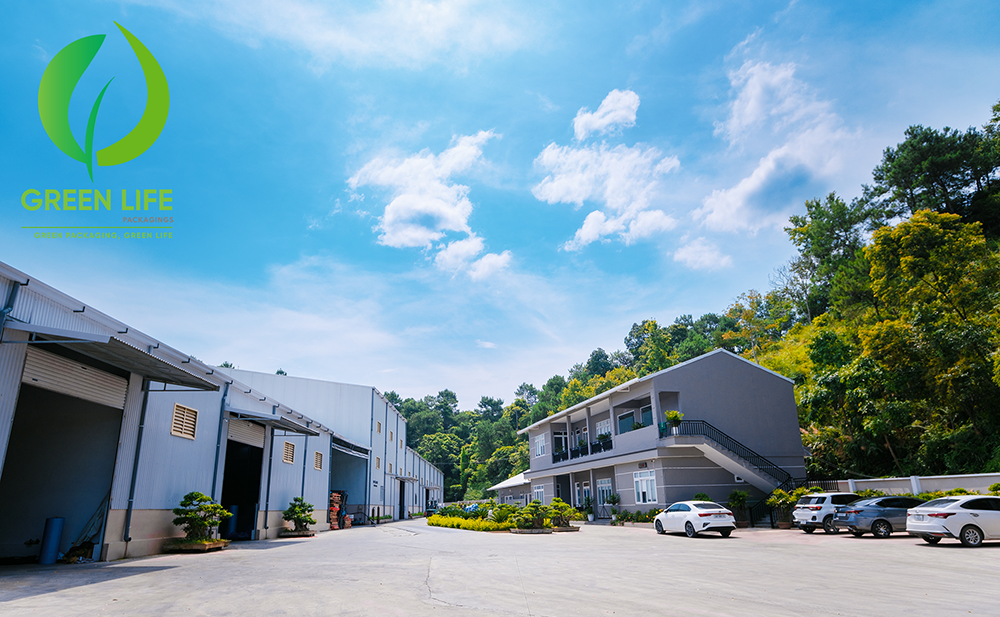 Cover image for Bao Bì Green Life