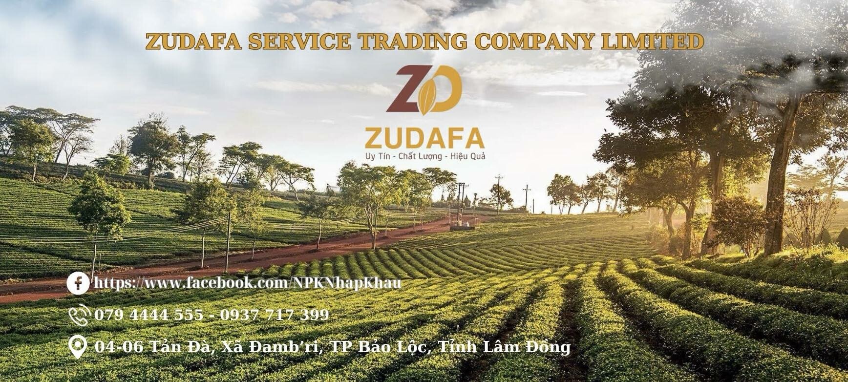Cover image for TM DV ZUDAFA
