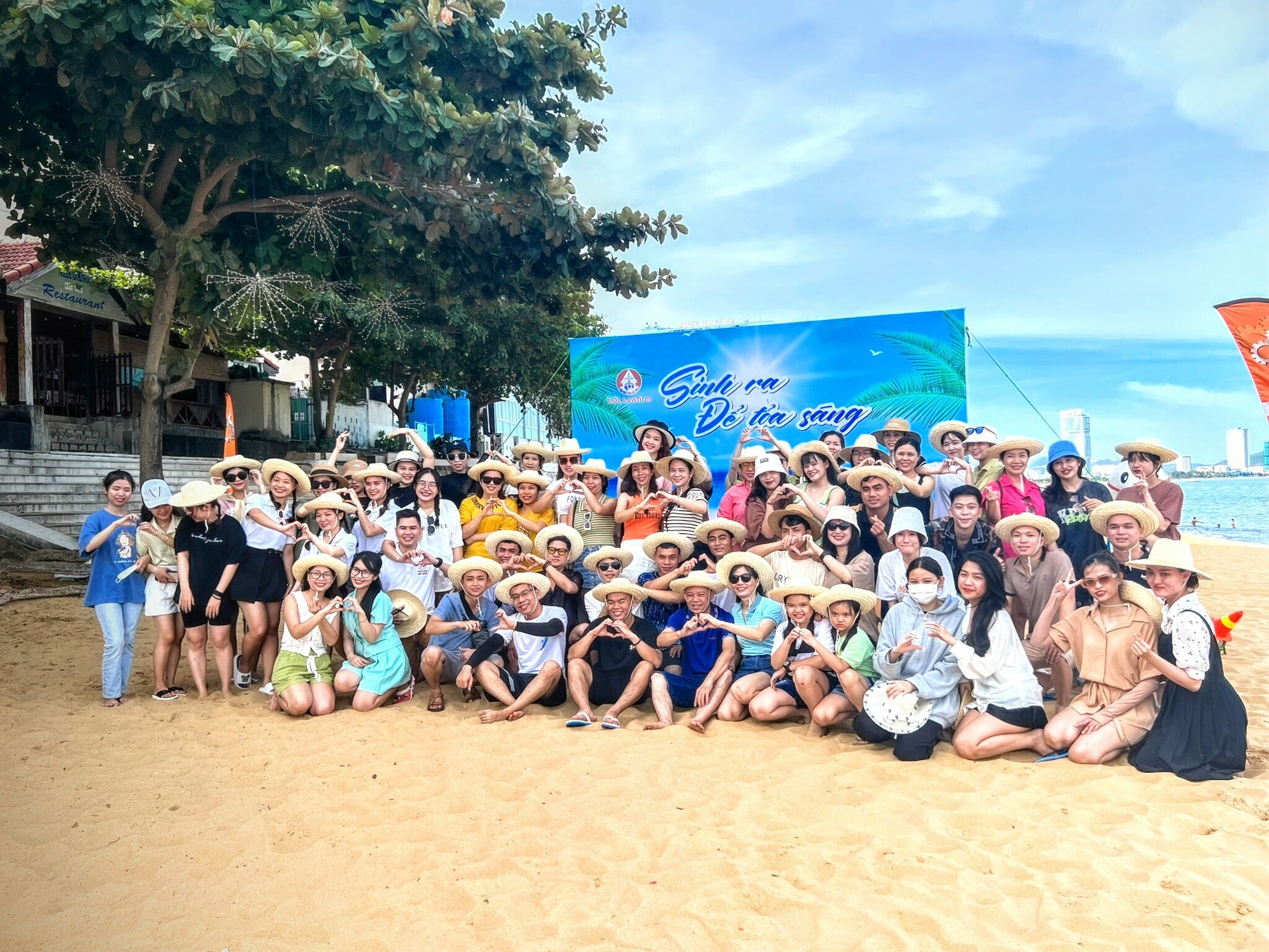 Cover image for Luật LDL