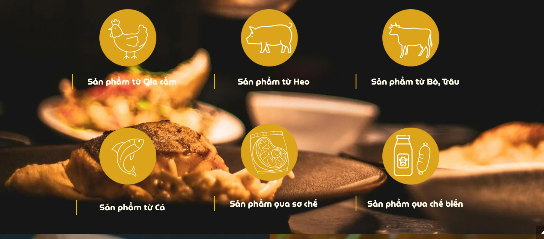 Cover image for Thực phẩm An Hà