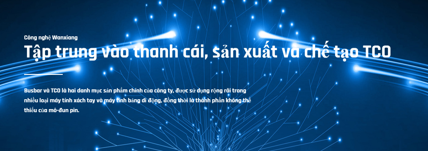 Cover image for Wanxiang Technology Việt Nam