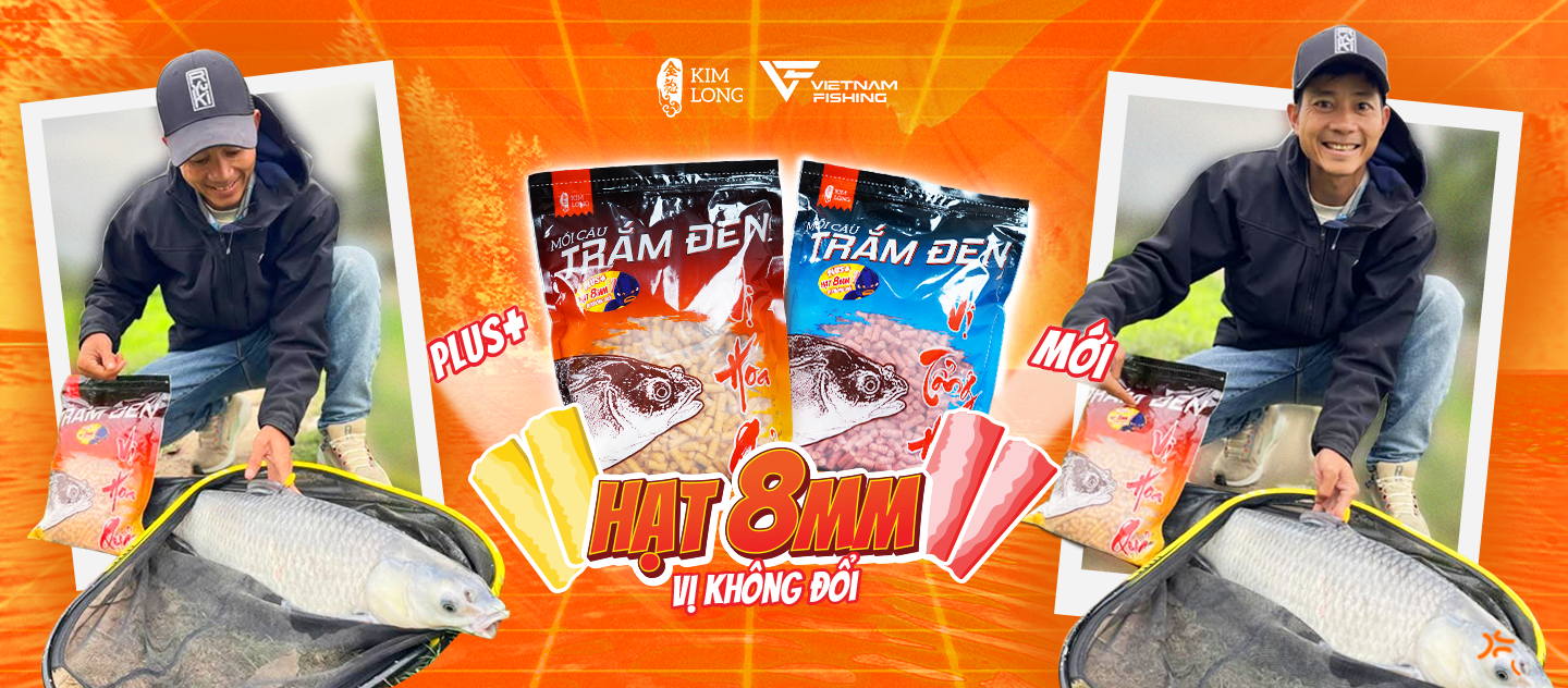 Cover image for Vietnam Fishing