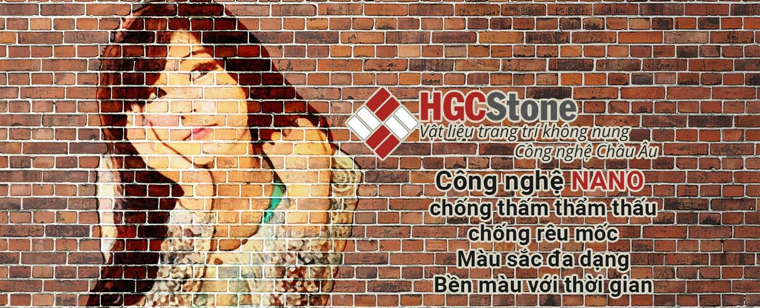 Cover image for HGC Stone