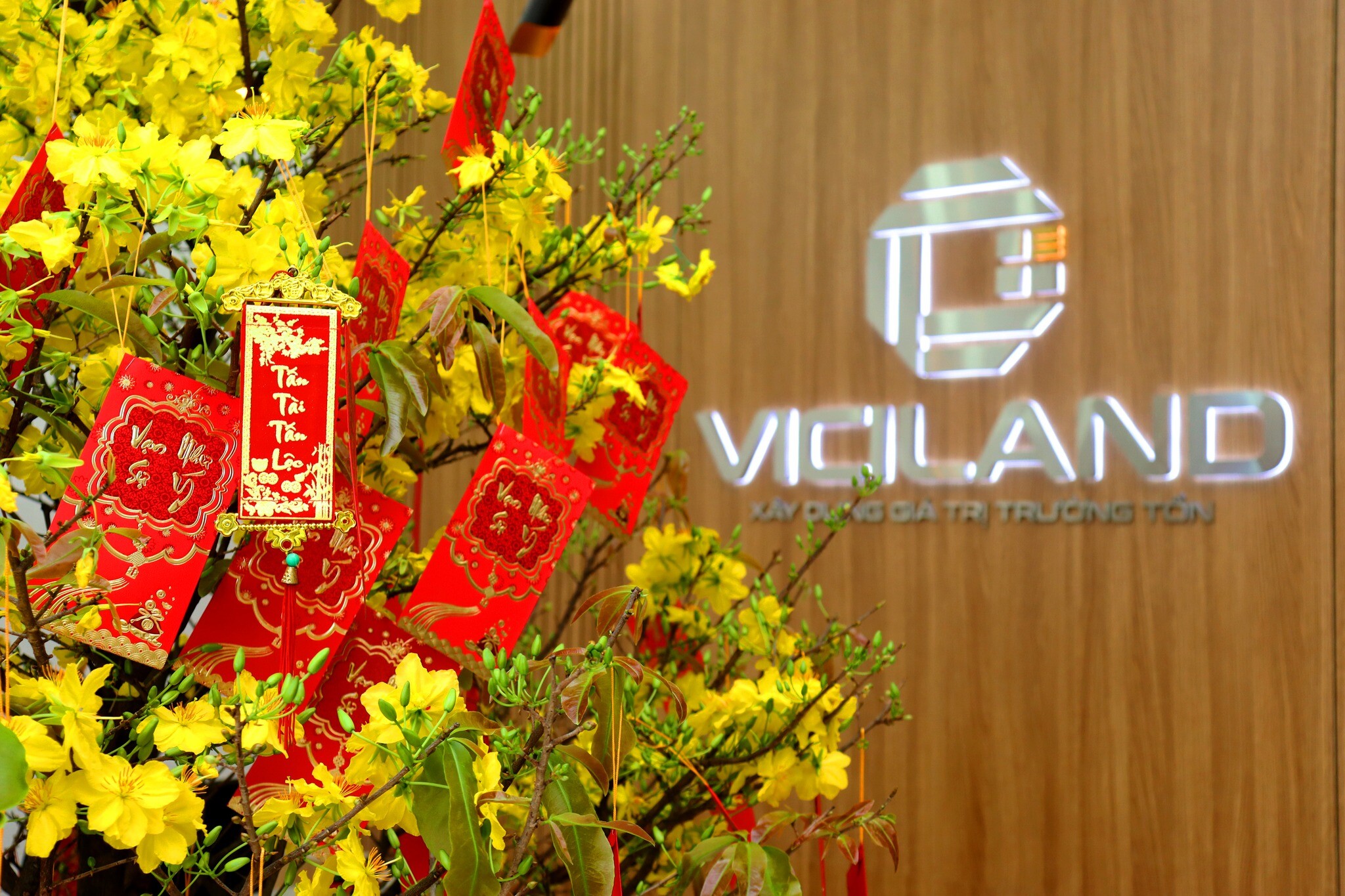 Cover image for Vici LAND