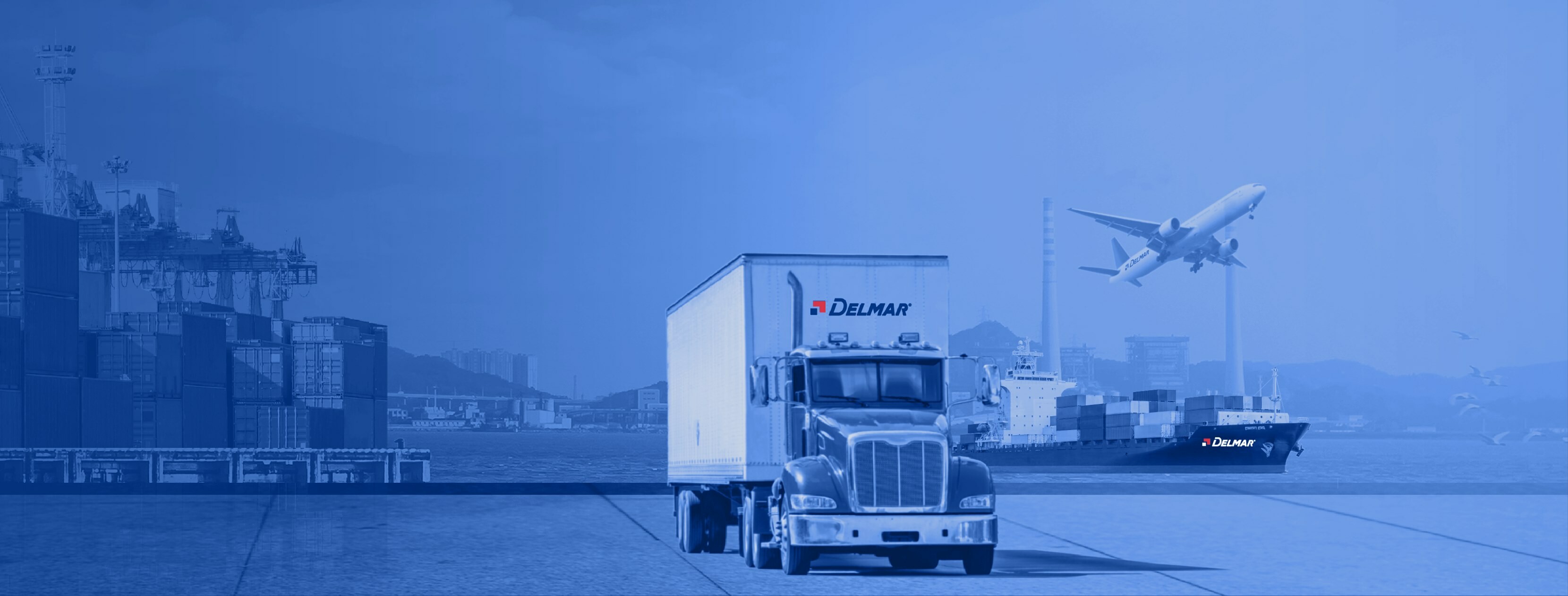 Cover image for DELMAR INTERNATIONAL (VIỆT NAM)