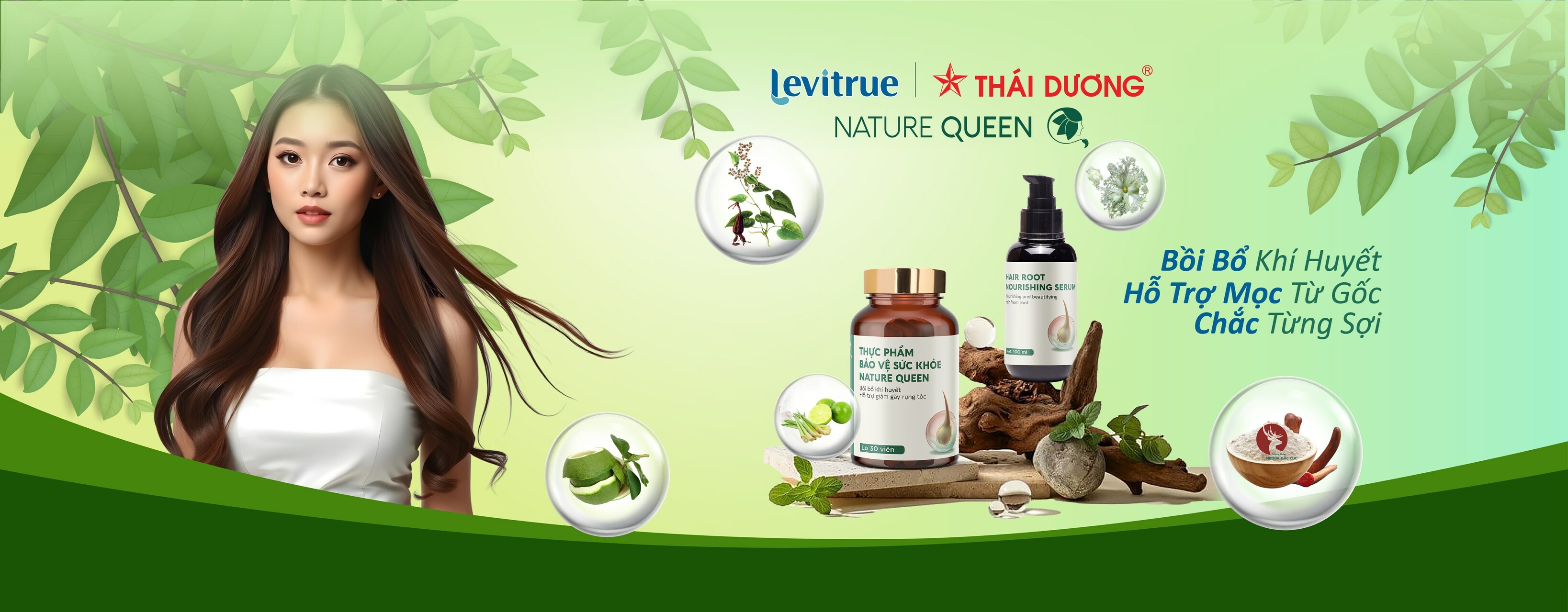 Cover image for Levitrue Việt Nam