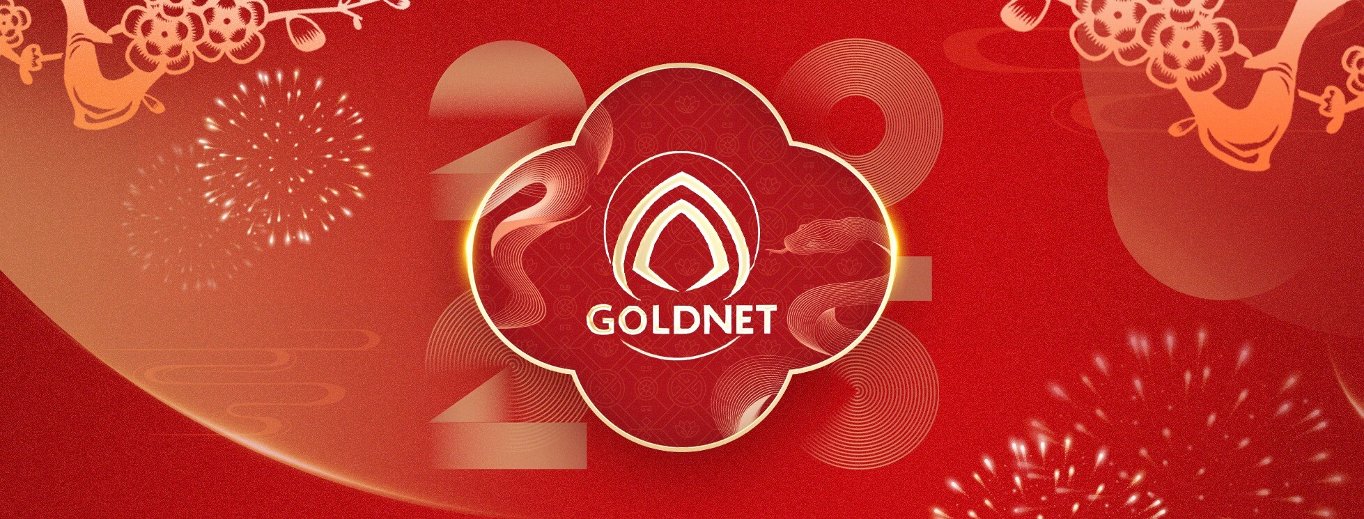 Cover image for Goldnet