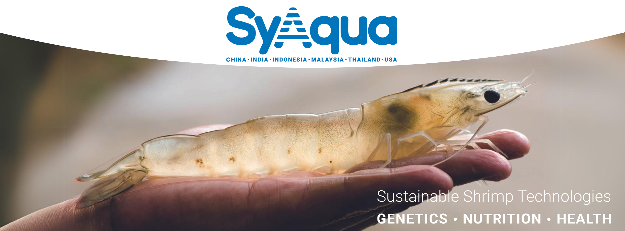 Cover image for SyAqua