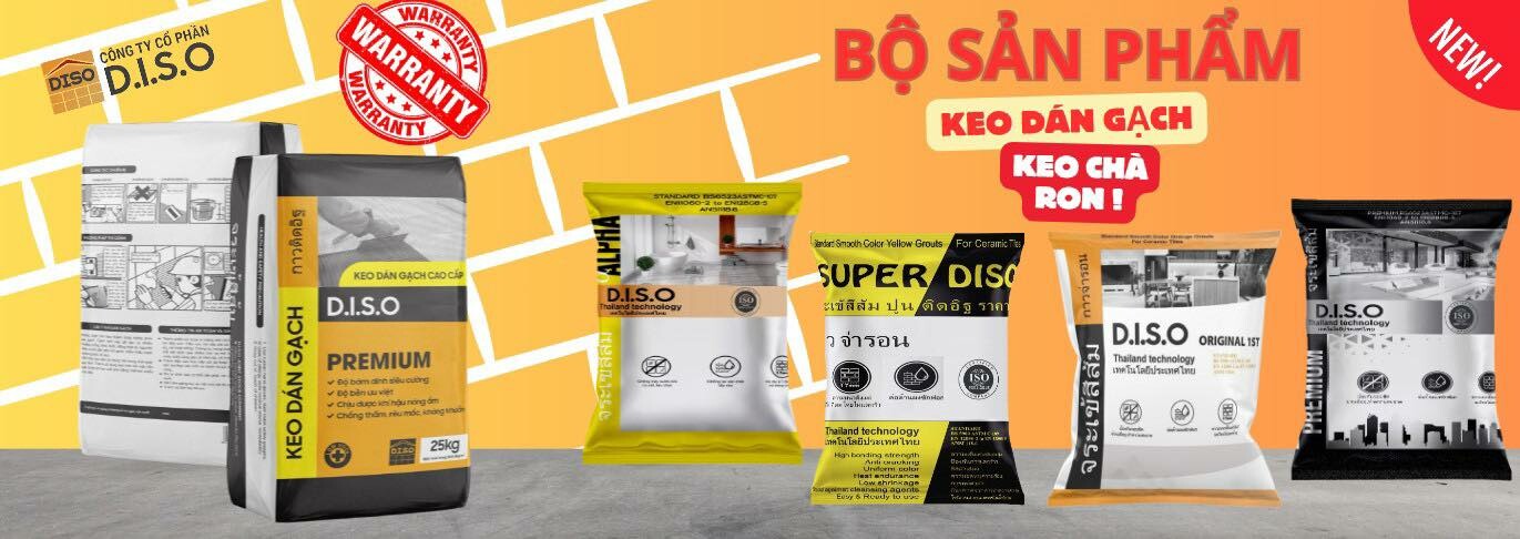 Cover image for D.I.S.O