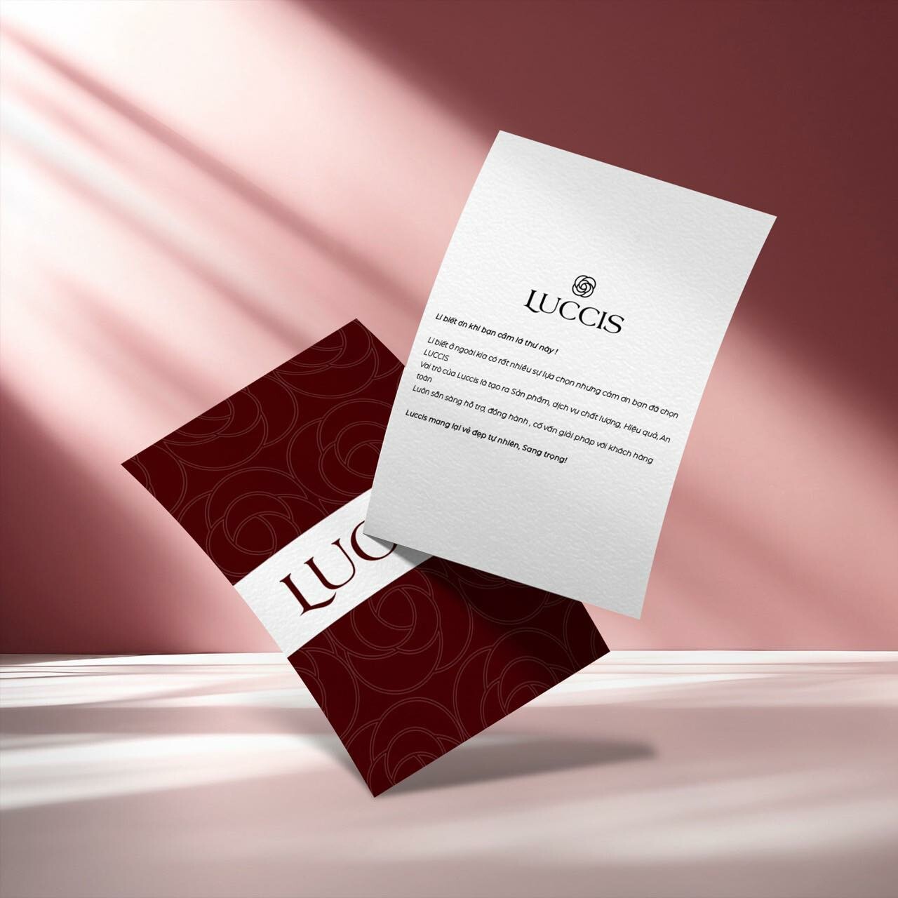 Cover image for LUCCIS