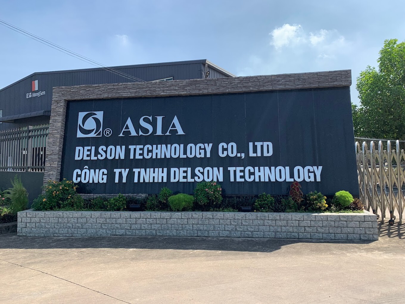 Cover image for Delson Technology