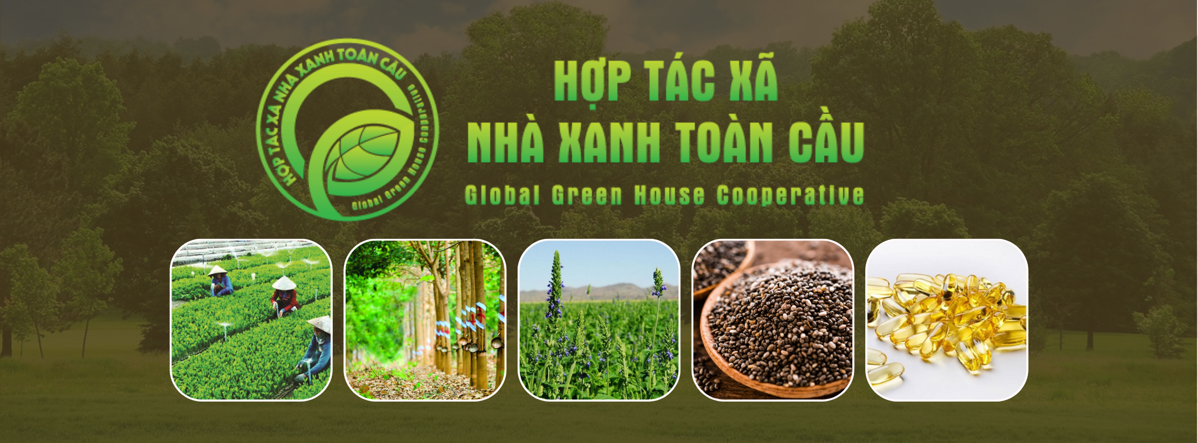 Cover image for Hợp Tác Xã Nhà Xanh Toàn Cầu