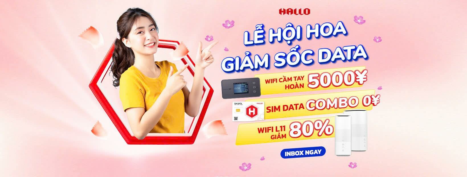 Cover image for Hallo Việt Nam