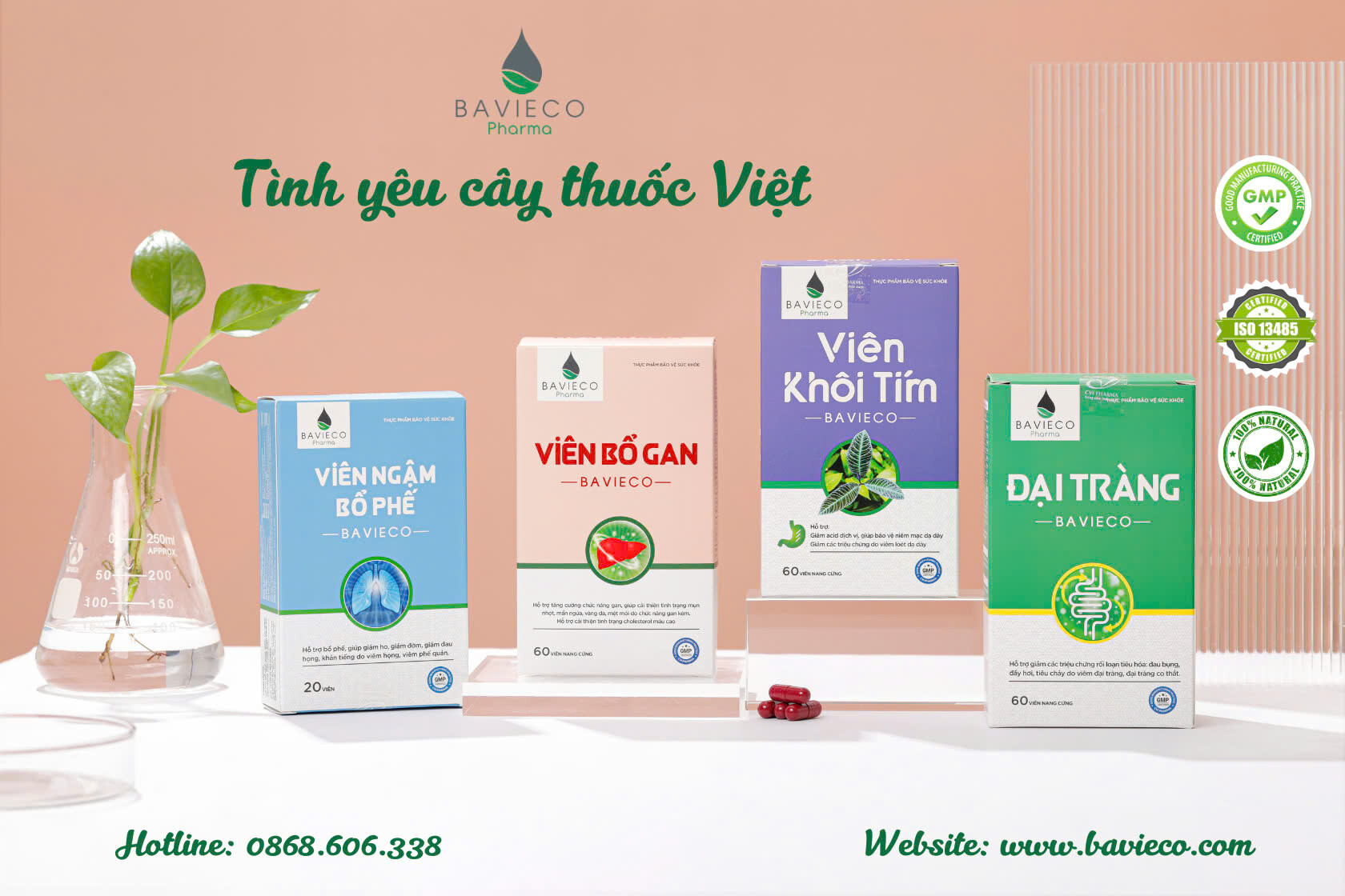 Cover image for BAVIECO