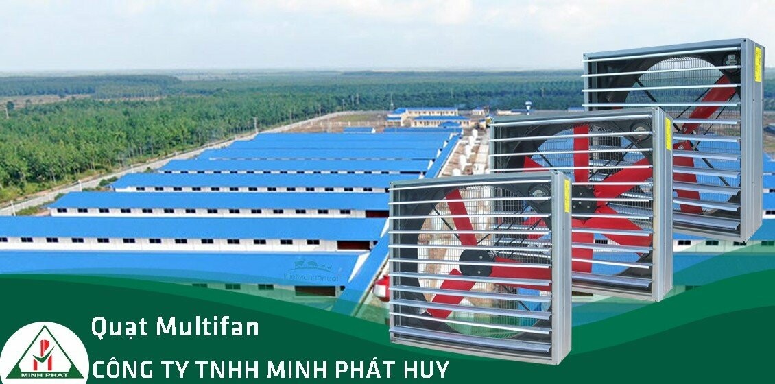 Cover image for Minh Phát Huy