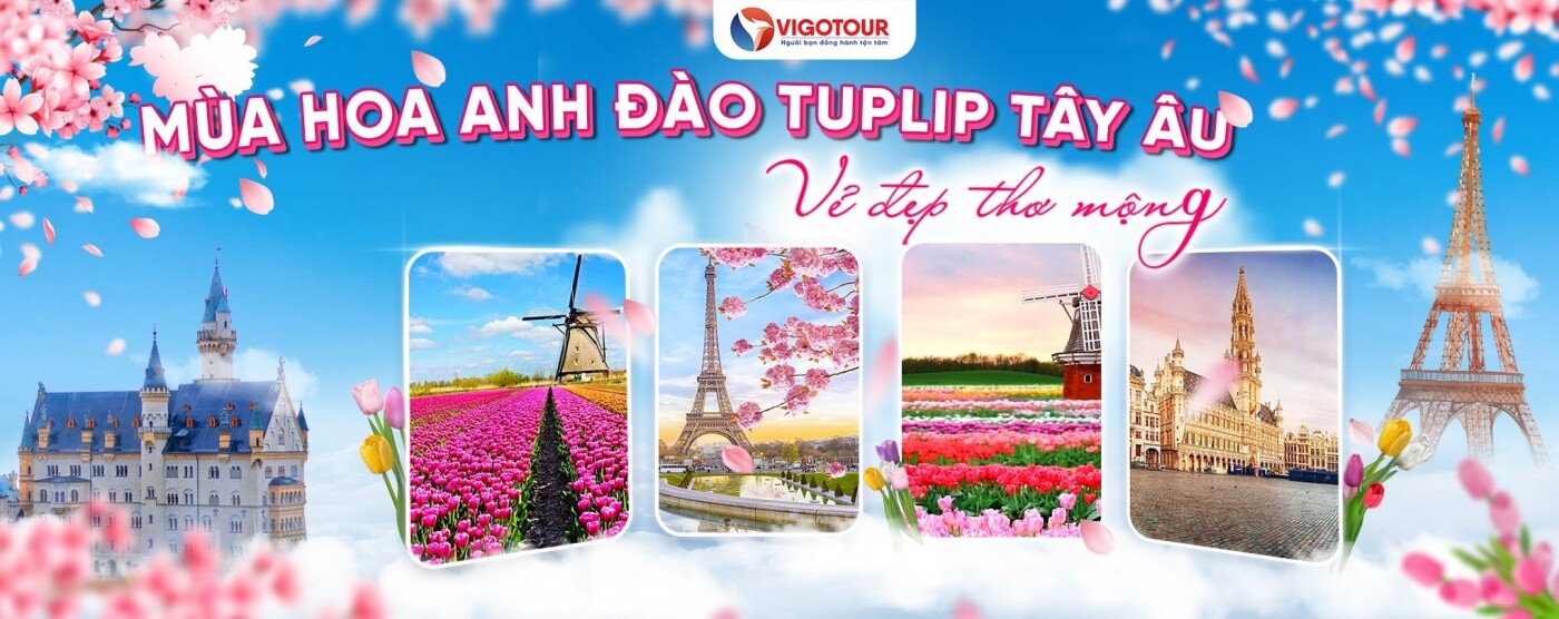 Cover image for Công Ty Cổ Phần Du Lịch Vigotour