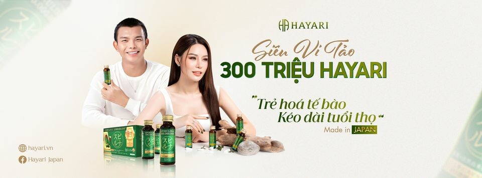 Cover image for Thương mại HKK - Hayari