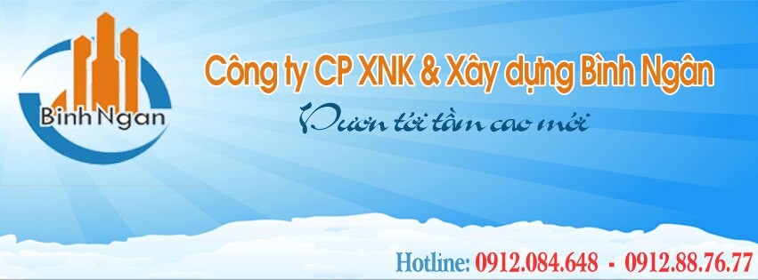 Cover image for XNK & Xây dựng Bình Ngân