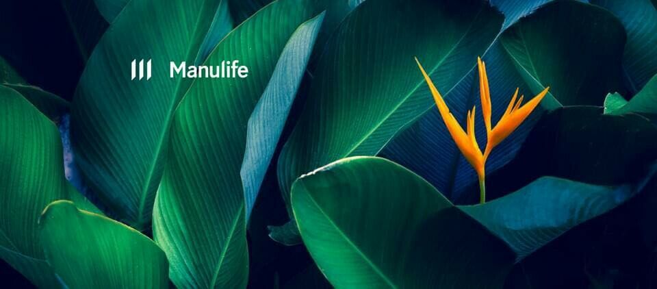 Cover image for Manulife Việt Nam