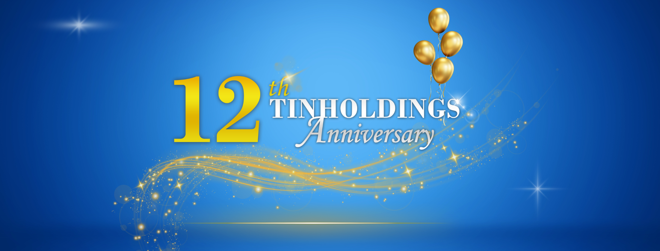 Cover image for TIN HOLDINGS