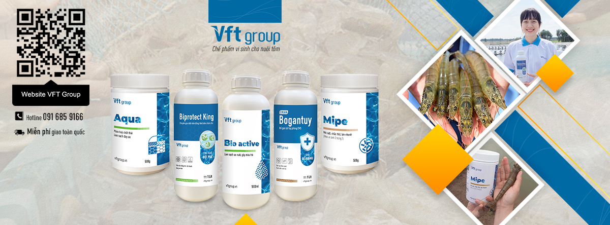 Cover image for Tập Đoàn Công Nghệ Thuỷ Sản Việt Nam - VFT Group