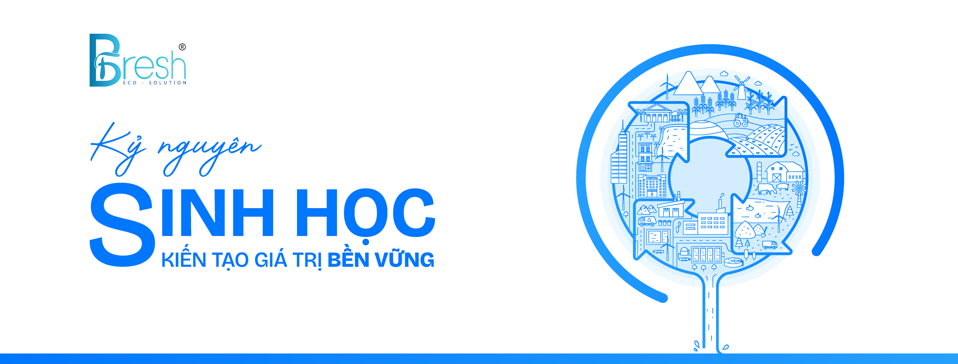 Cover image for Biofix Fresh